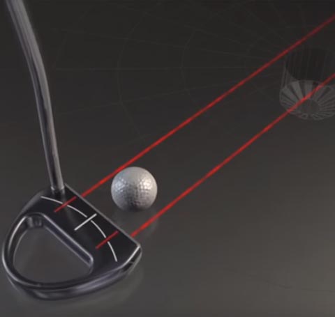 Motion Graphics & 3D